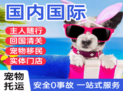 兴东航空邮寄国际宠物托运 【国